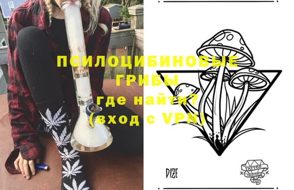 мдпв Волоколамск