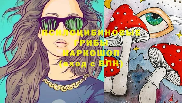 мдпв Волоколамск