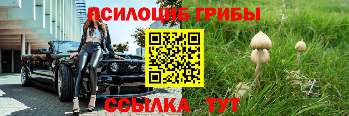 хочу   Можга  Псилоцибиновые грибы мицелий 
