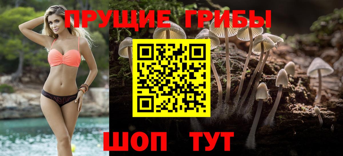 Галлюциногенные грибы MAGIC MUSHROOMS Можга