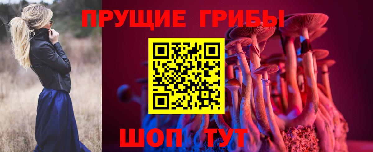 продажа наркотиков  Вход с VPN  Можга  Псилоцибиновые грибы ЛСД  Галлюциногенные грибы Cubensis 