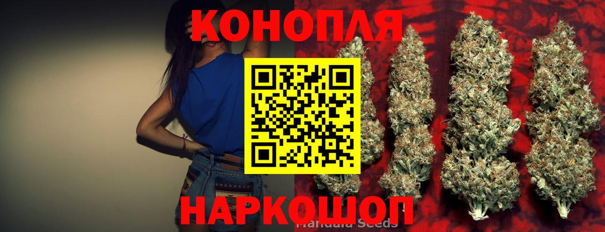 Марихуана сатива  Бошки марихуана THC 21%  Конопля конопля  Можга 